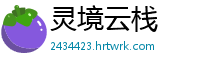 灵境云栈